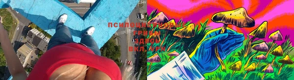 сатива Алексин