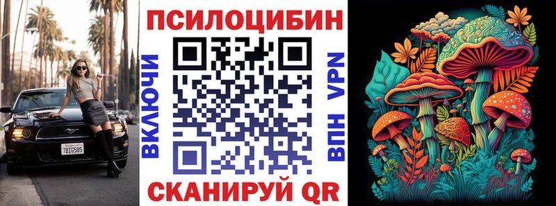 Галлюциногенные грибы Psilocybine cubensis  Грязи 