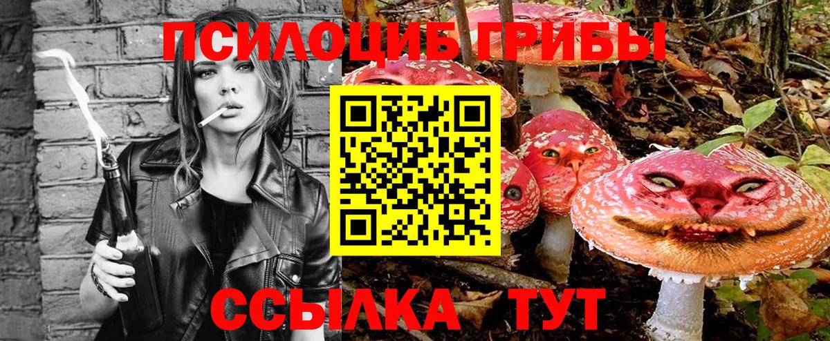 Псилоцибиновые грибы MAGIC MUSHROOMS Грязи