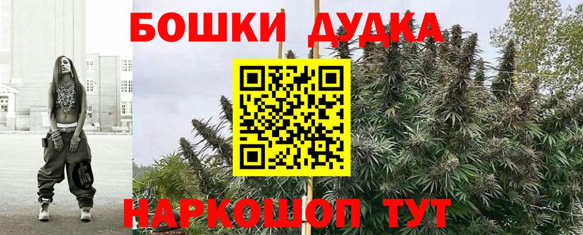 Конопля семена  Канабис гибрид  Грязи  Вход с VPN  Каннабис Bruce Banner 